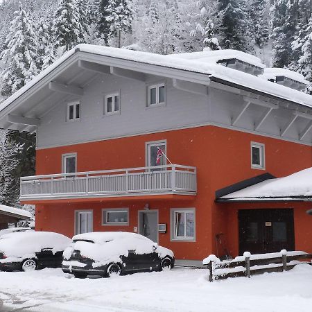 Alpen Appartements Viehhofen - Incl Sommercard Zell Am See Viehhofen Exteriör bild