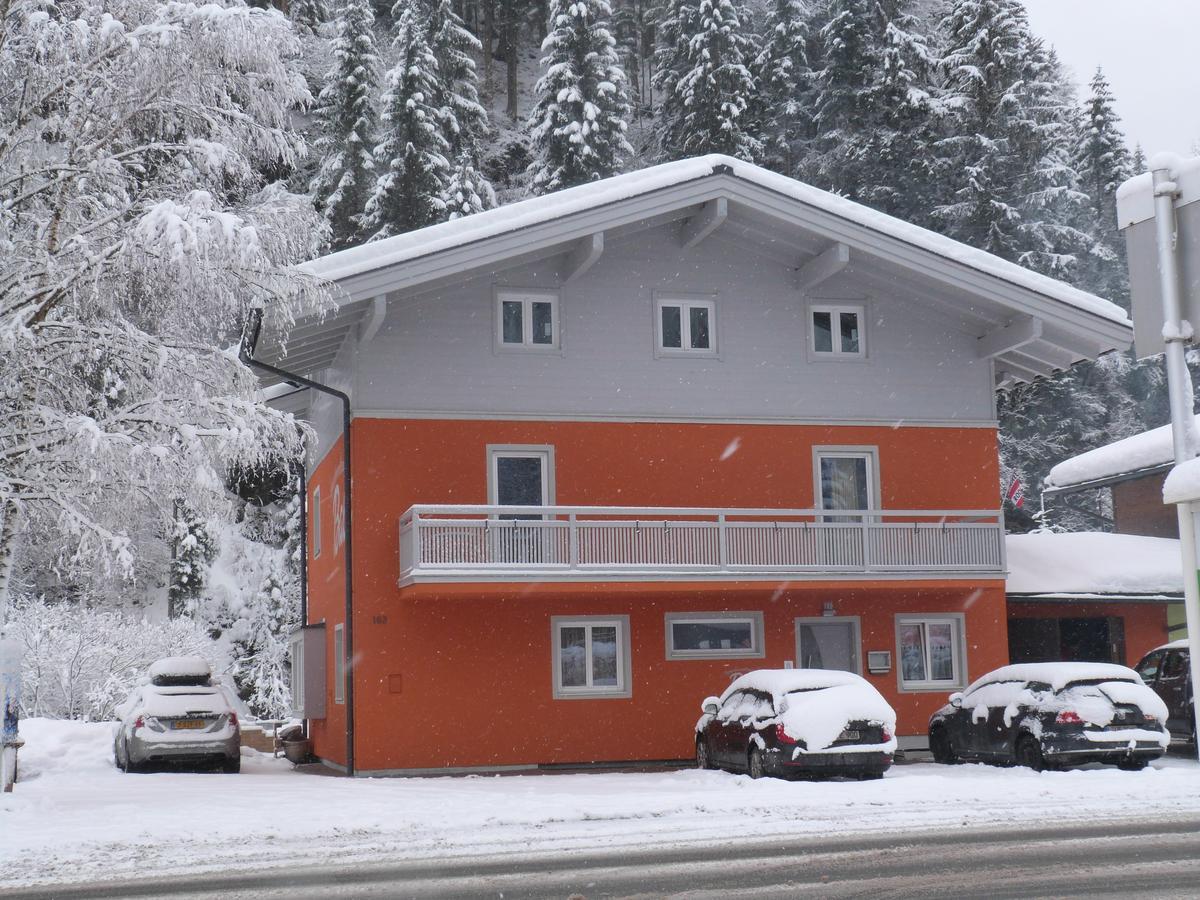 Alpen Appartements Viehhofen - Incl Sommercard Zell Am See Viehhofen Exteriör bild
