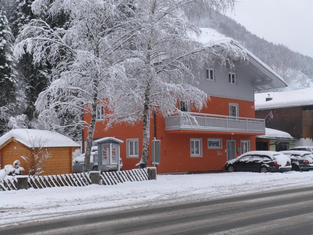 Alpen Appartements Viehhofen - Incl Sommercard Zell Am See Viehhofen Exteriör bild